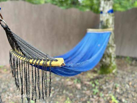 Tattoo-friendly Open-air Onsen (Hot Spring) in Tokyo Klook India