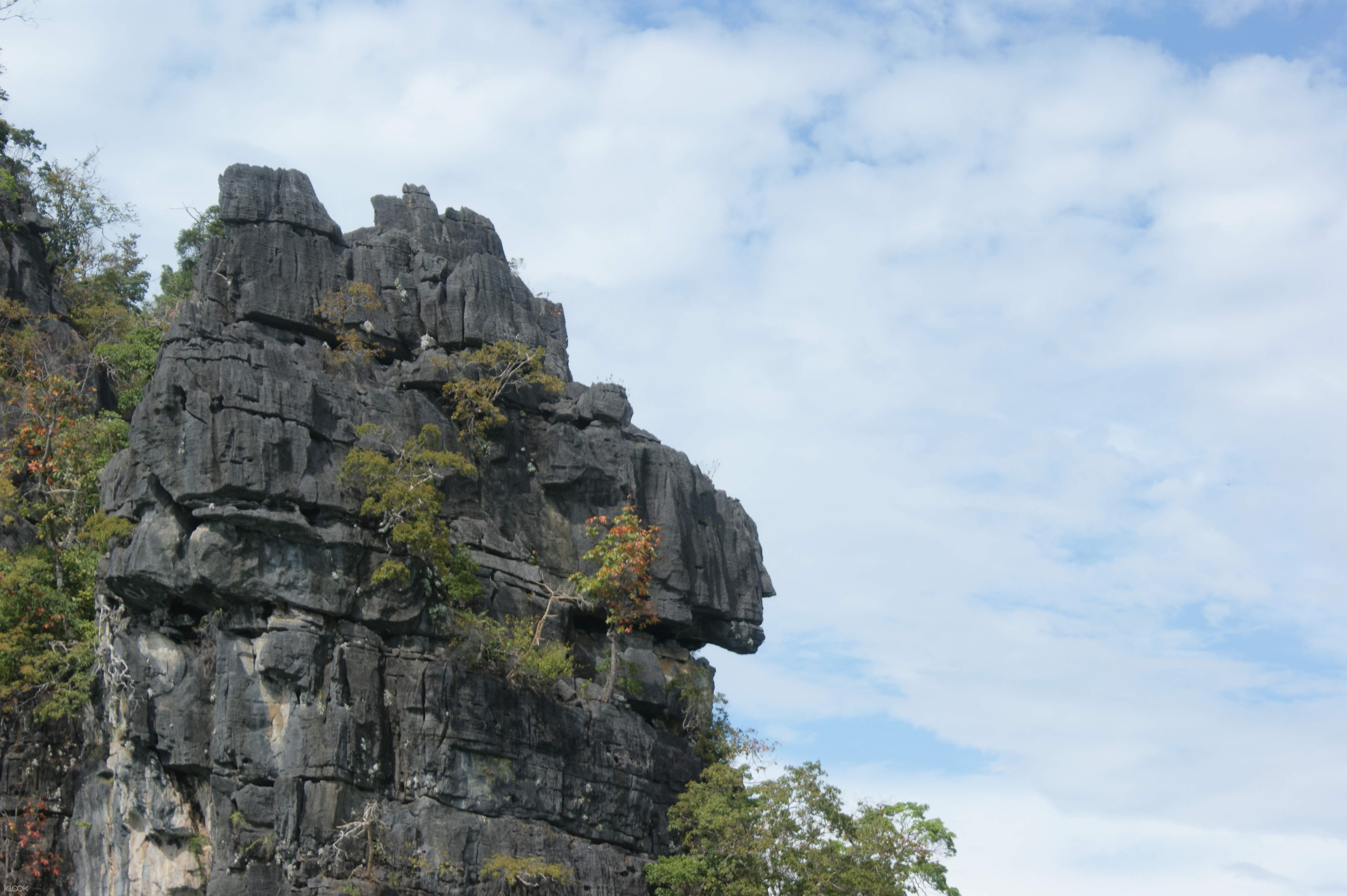 Up To 20 Off Langkawi Unesco Global Geopark Adventure Cruise Klook Philippines