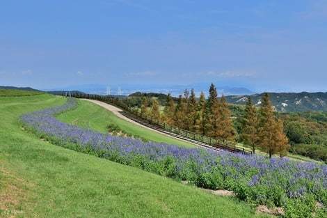 <e-ticket>Pass Bus Kita Awaji + Bus Express « KAKEHASHI » Aller-retour