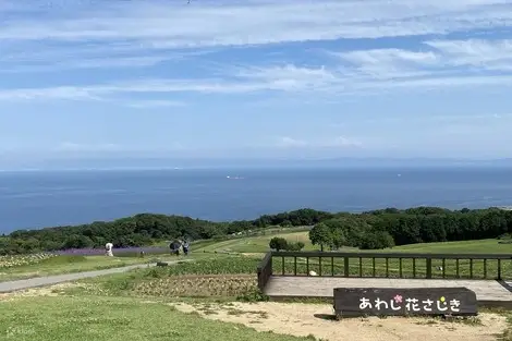 <e-ticket>北淡路巴士周游券+高速巴士“挂桥”往返