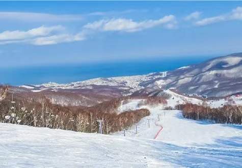 私人滑雪教练课程体验 (北海道)