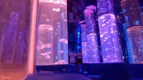 欢乐海岸海洋奇梦馆
