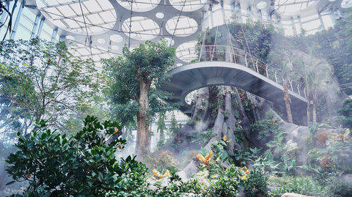 Taman Rumah Hijau Shanghai