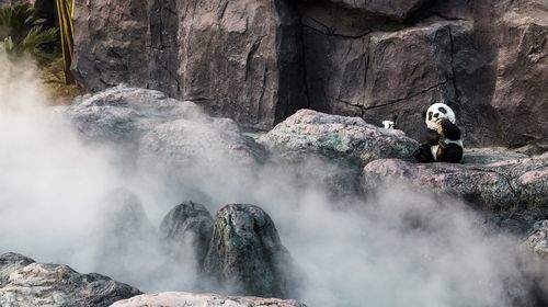 Ocean Spring, Haiquan Bay, Zhuhai