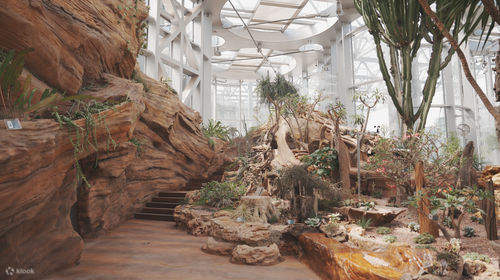 Taman Rumah Hijau Shanghai