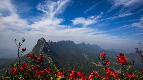 風景　山 霊山風景区 | Klook