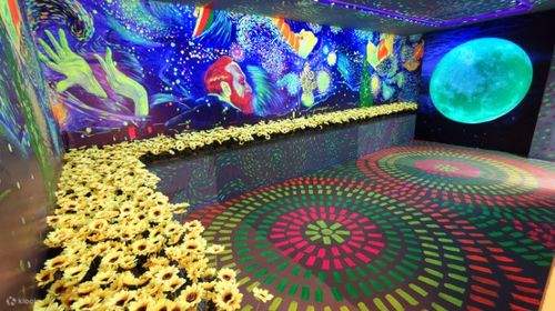 Van Gogh Starry Sky Art Museum Zhuhai Flagship Store Klook Singapore