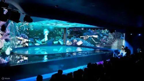 欢乐海岸海洋奇梦馆