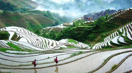 龙脊梯田