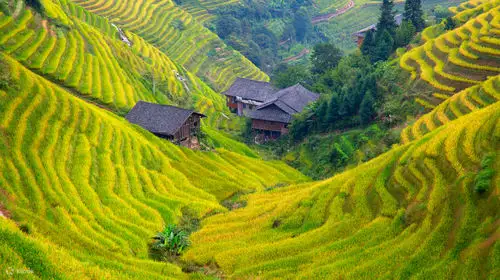 龙脊梯田