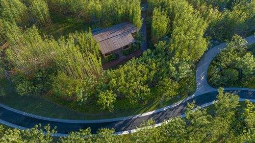 Taman Rumah Hijau Shanghai