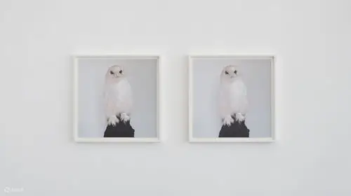 展馆内的作品