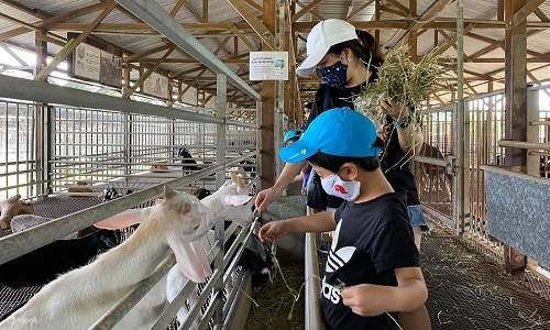 Get to view how the goats are being milked while receiving an explanation of the farm history, introduction to the goats, understand the milking process as well as the benefits of goat milk