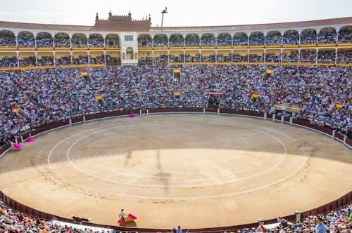 Vue panoramique des arènes