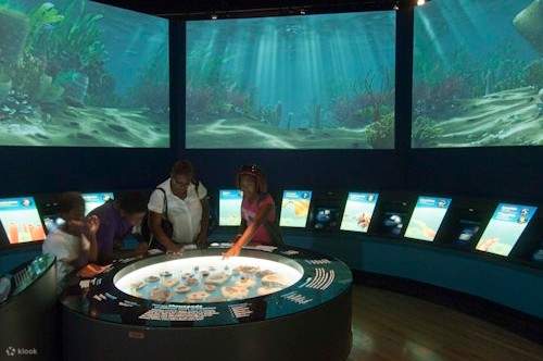 Una famiglia che osserva la mostra