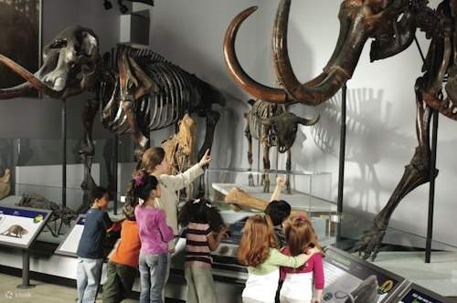 Bambini che osservano scheletri di animali preistorici
