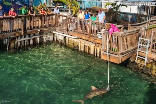 基韦斯特水族馆 基韦斯特