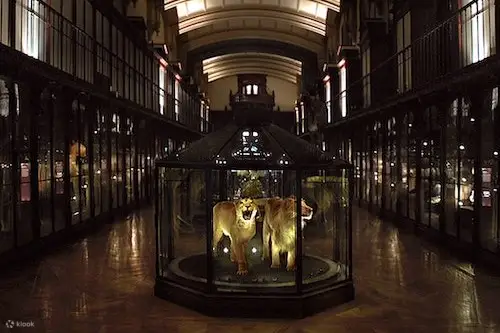 巴黎 Grande Galerie de l'Évolution 免排队
