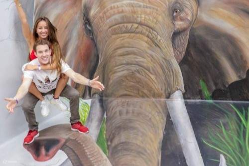 Persone che cavalcano la proboscide di un elefante