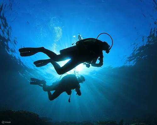 From classroom to ocean: Open water diver students celebrate their accomplishments in Key Largo, ready to embrace the wonders of underwater exploration.