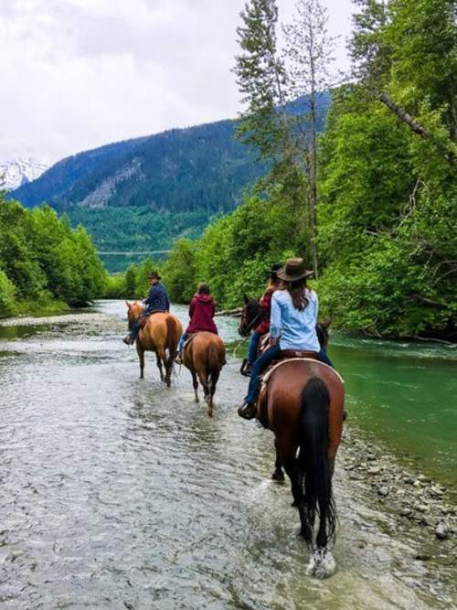 TwoHour Pemberton Valley Horseback Riding Experience Klook