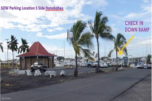 Immersione con le mante