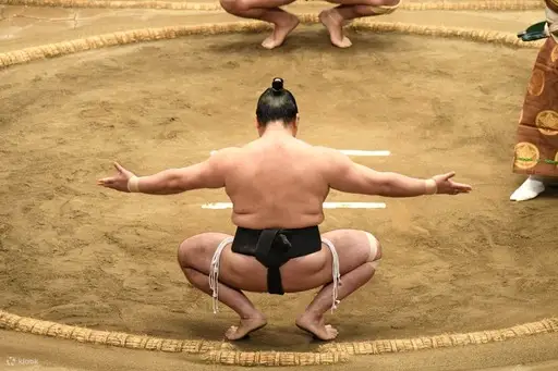 名古屋：相扑比赛A级座位和专家指南