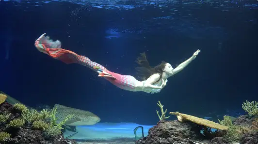 水族馆