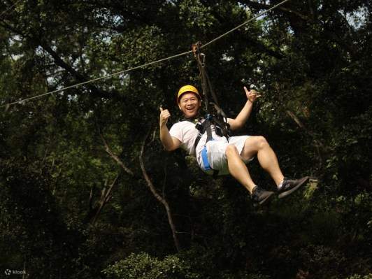 Para petualang melayang di atas kanopi hijau subur dengan zipline hutan yang panjang dan indah