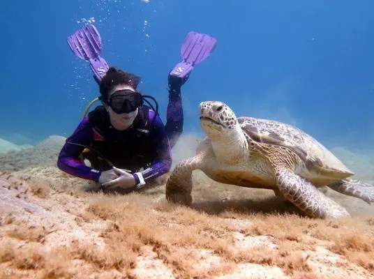 PADI Tauchkurs Open Water in 3 Tagen - Hurghada