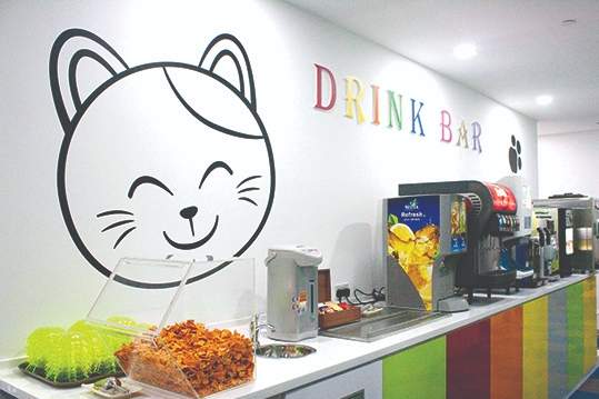 Manekineko singapore on sale