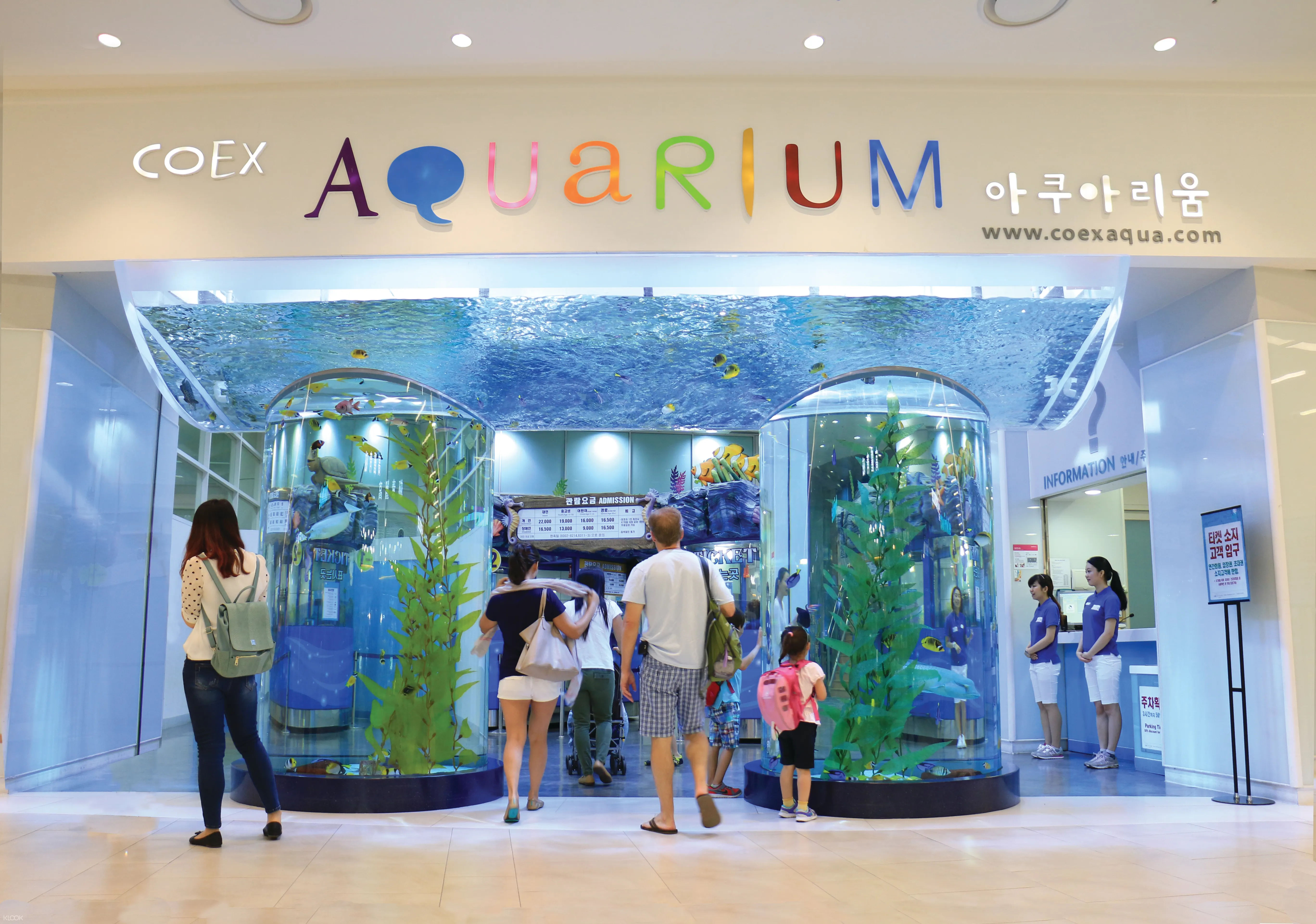 Coex Aquarium Admission Ticket Seoul Korea