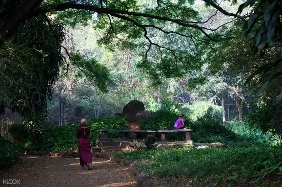 浦那奧修花園(Osho Garden)靜心之旅