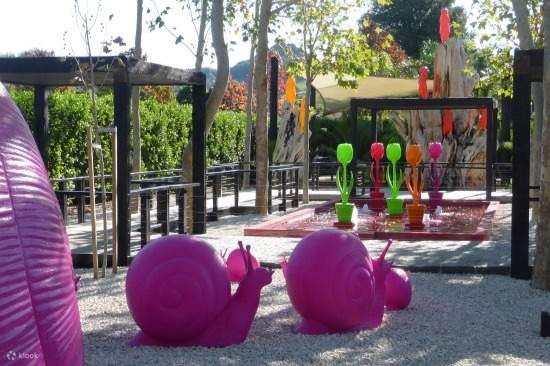 Découvrez la scène artistique dynamique de la pittoresque Matakana, en Nouvelle-Zélande