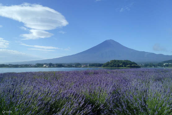 富士山經典路線一日遊