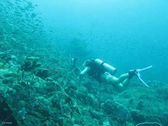 PADI ReActivate 水肺复习课程