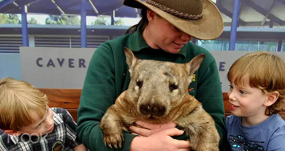 Caversham Wildlife Park Admission Ticket