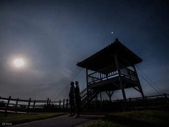 西表岛 西表岛星空 & 丛林夜游（冲绳）