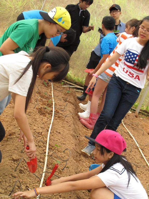 Farm Xperience ใน Lojing Highlands