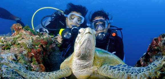 Tun Sakaran Marine Park Island Snorkeling Or Diving Tour Klook tun-sakaran-marine-park-island-snorkeling-or-diving-tour-klook