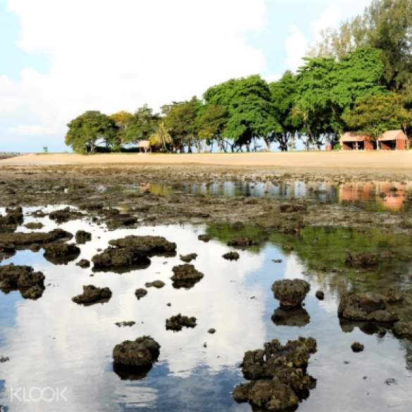 シスターズ島 海の動植物にふれる干潮ツアー Klook クルック シスターズ島 海の動植物にふれる干潮ツアー Klook クルック