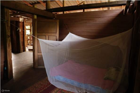 Expérience avec les éléphants et immersion culturelle 