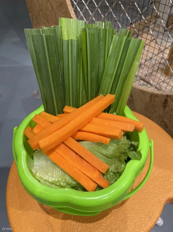 Lollypet(龙岗龙城万科里店)