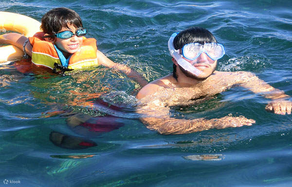 Mascate: Osservazione dei delfini e snorkeling