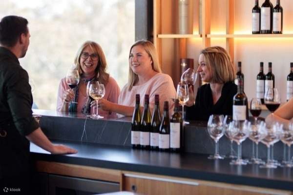 圣雨果酒庄品酒体验