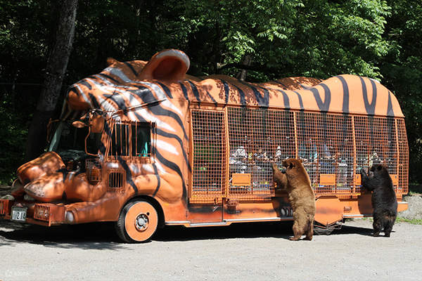 Fuji Safari Park Day Tour with Animal Feeding Experience from Nagoya -  Klook Singapore