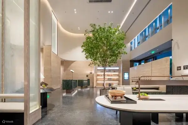 酒店大堂内部环境展示图