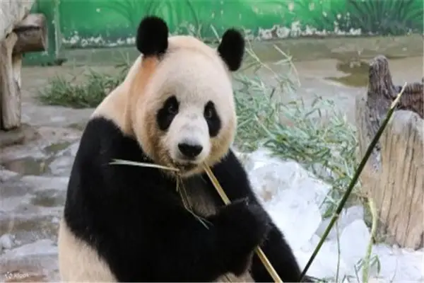 杭州野生动物世界