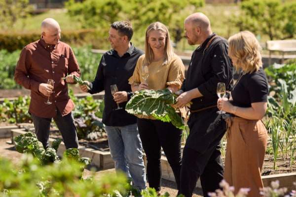 圣雨果酒庄品酒体验