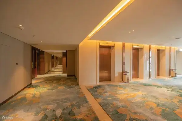 酒店公共区域环境展示图